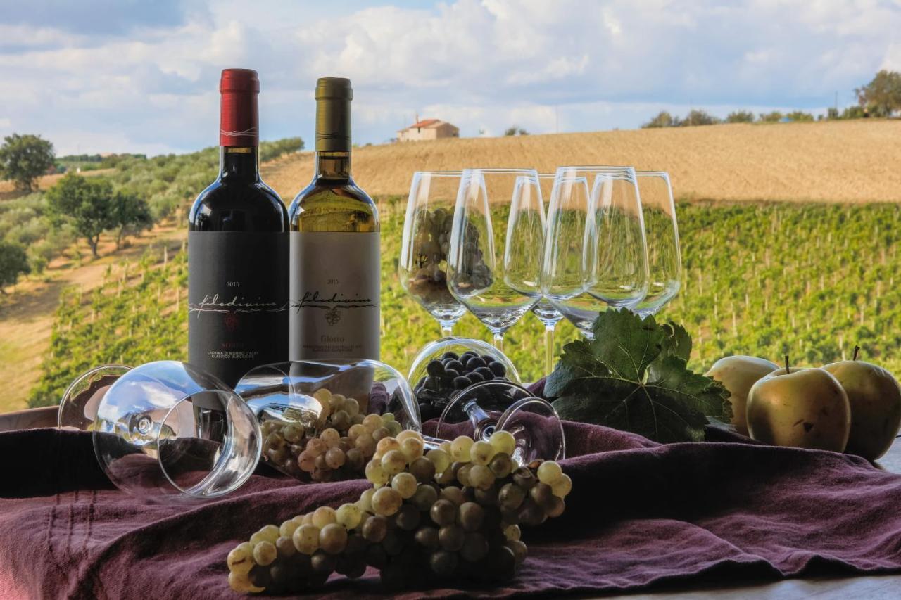 Filodivino Wine Resort&SPA San Marcello  Esterno foto