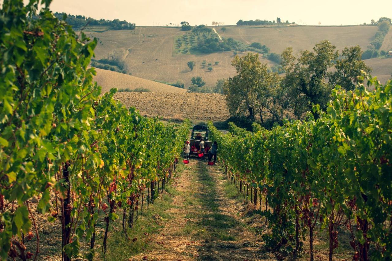 Filodivino Wine Resort&SPA San Marcello  Esterno foto