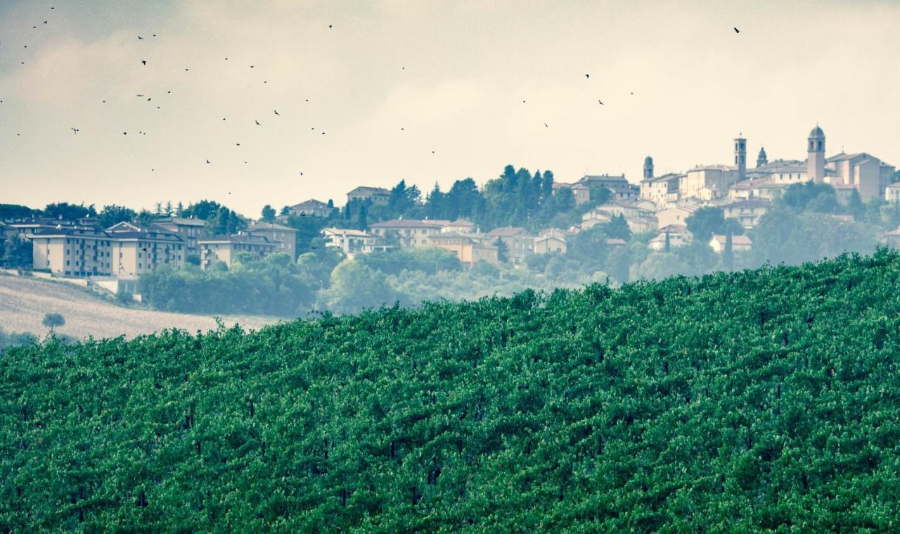 Filodivino Wine Resort&SPA San Marcello  Esterno foto